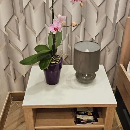 Very Cosy New アパート